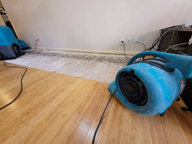 Professional Basement Flood Cleanup technician working in Petersburg, NY